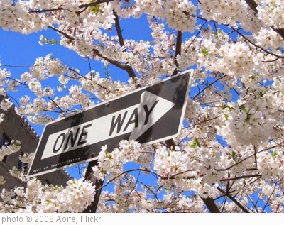 'One Way to Flowerland' photo (c) 2008, Aoife - license: https://creativecommons.org/licenses/by/2.0/